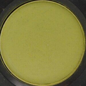MAC Eye Shadow Refill ~ SILLY GOOSE ~